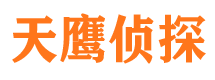 东辽侦探公司